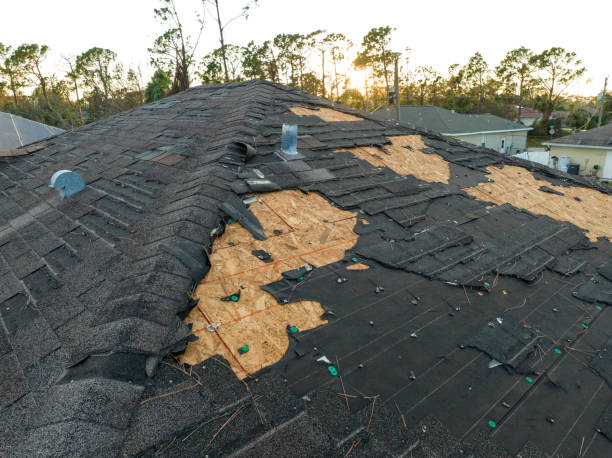 Best Roof Insulation Installation  in New London, CT